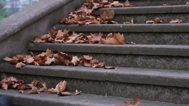 Subir escadas, autum — Vídeo de Stock