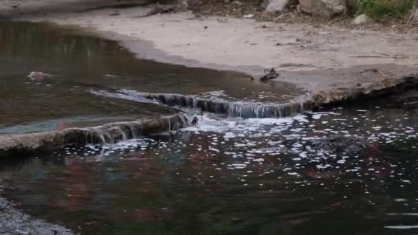 Contaminación del canal de agua — Vídeo de stock