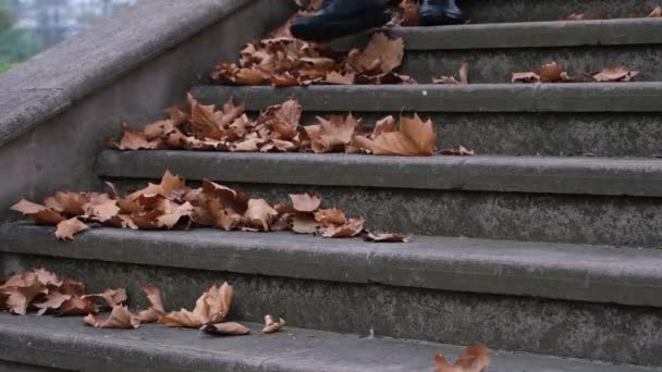 Descendo as escadas, outono — Vídeo de Stock