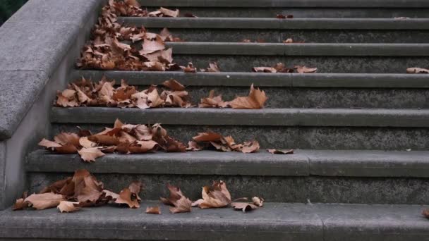Lépcsők, őszi — Stock videók
