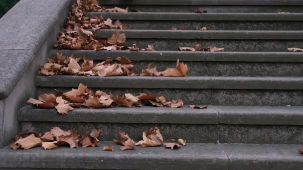 Escadas abaixo no outono — Vídeo de Stock