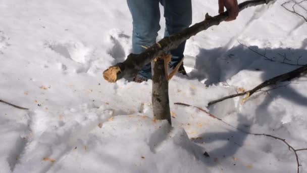 Couper du bois avec une hache — Video