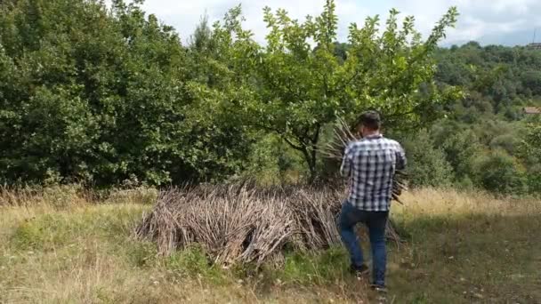 Mann trägt Holz — Stockvideo