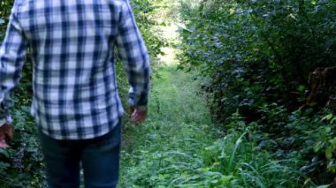 Ormanda yürüyen adam