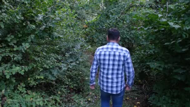 Mann geht im Wald spazieren — Stockvideo