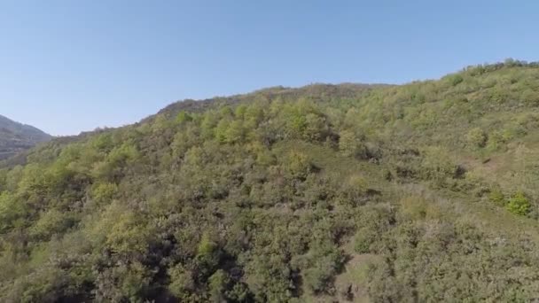 Aerial mountain forest — Video Stock