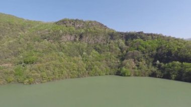 Yeşil tepe ve orman