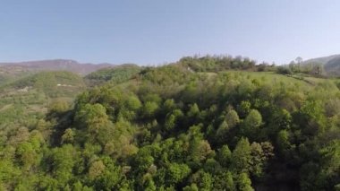 Hava dağı ovası ve orman