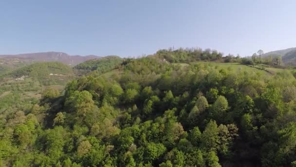 Aerial mountain plain and forest — Video Stock
