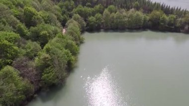 Hava yeşili orman ve çamurlu göl