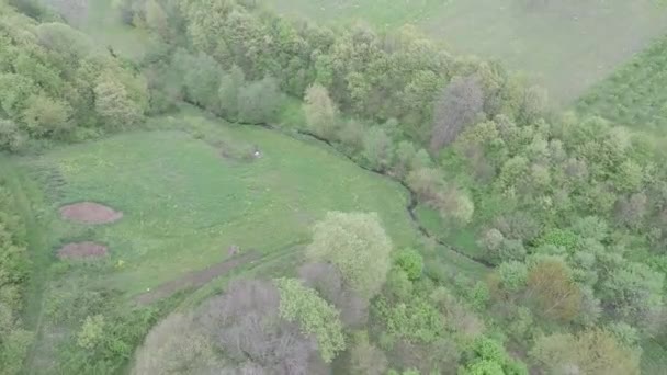 Aerial creek and green valley — Vídeos de Stock