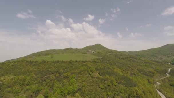 Pădure verde și cer tulbure — Videoclip de stoc