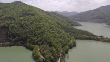 forest mountains and lake