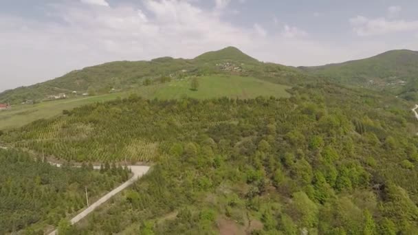 Aerial green forest and mountains — Video Stock