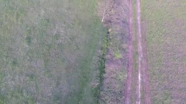 aerial dirty road