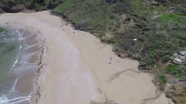 Plage aérienne et verdure — Video