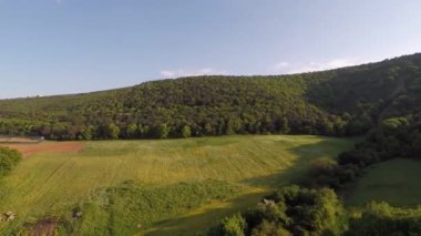 Çiftlik arazisi, hava ormanı