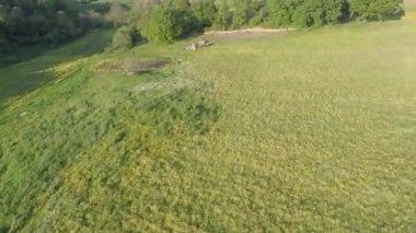 Hava tarlaları ve koyunlar