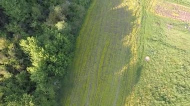 Tarım arazisi ve orman