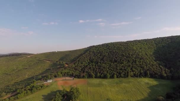 Oberirdischer Waldhügel — Stockvideo