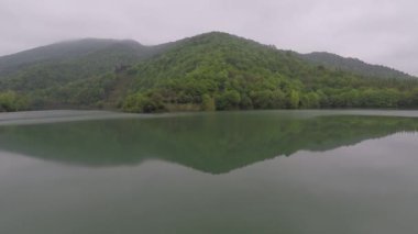 Göl yansıması, göl yansıması ve suyun üzerindeki yeşil orman.