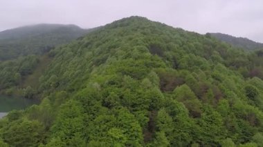 Yeşil sisli tepeler, gökyüzü görüntüsü yeşil sisli tepeler ve orman