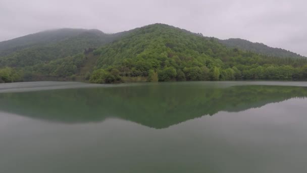 Odbicie Jeziora Odbicie Jeziora Powietrza Zielony Las Nad Wodą — Wideo stockowe