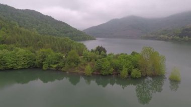 Orman ve göl, göle doğru uzanan bir orman parçası.