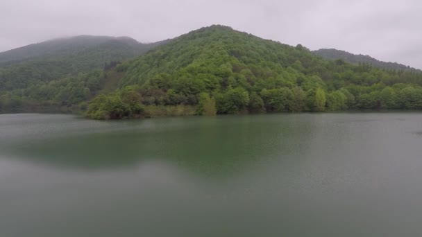 Lago Bosque Tiro Aéreo Verde Niebla Colinas Bosque — Vídeos de Stock