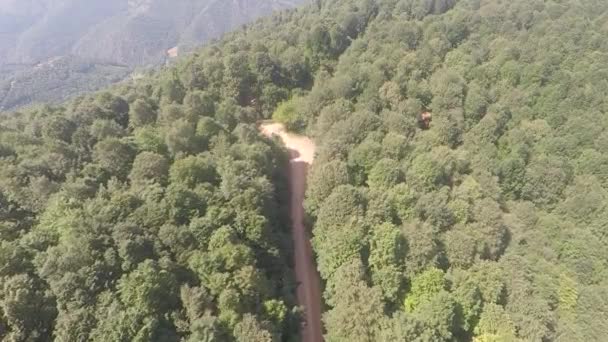 Ścieżka Leśna Leśna Ścieżka Powietrzna — Wideo stockowe