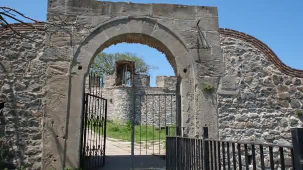 Castle Entrance Historical Castle Entrance Iron Gate — Stock Video
