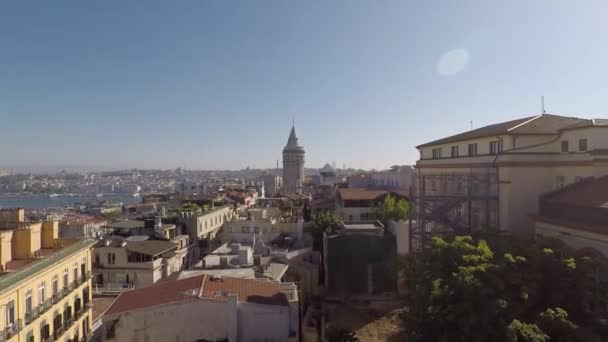 Seagull Attack Istanbul Seagull Attack Historical Galata Tower Drone Shot — Stock Video