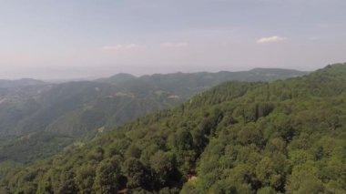 Yeşil ormanlar, yeşil ormanlar havadan yana hareket ediyorlar.