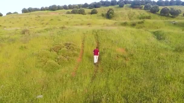 Alone Man Walking Aerial Alone Man Walking Green Fields — Stock Video