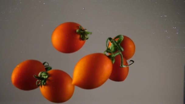 Cherry Tomatoes Cherry Tomatoes Water Seasonal Vegetable Slow Motion — Stock Video