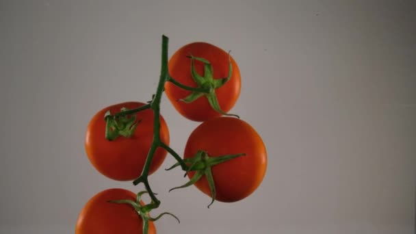 Red Tomatoes Bunch Red Tomatoes Seasonal Vegetable — Stock Video