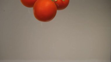 Domatesler, domatesler, mevsimlik sebzeler.