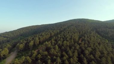 Çam Ormanı, Çam Ormanı ve Dağ