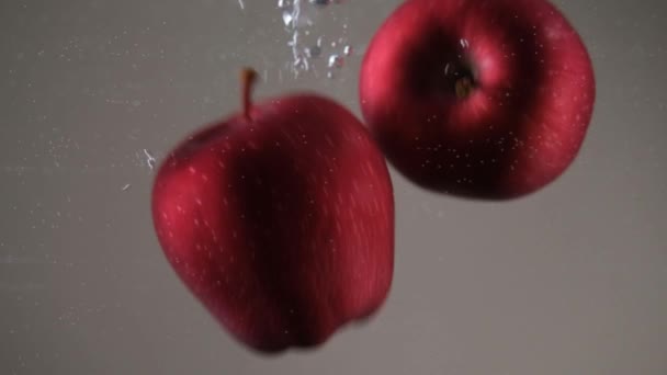 Красные Яблоки Красные Яблоки Воде Замедленной Съемки Сезонные Фрукты — стоковое видео