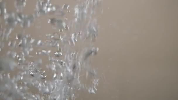 Waterbellen Waterbellen Die Naar Het Wateroppervlak Stijgen — Stockvideo