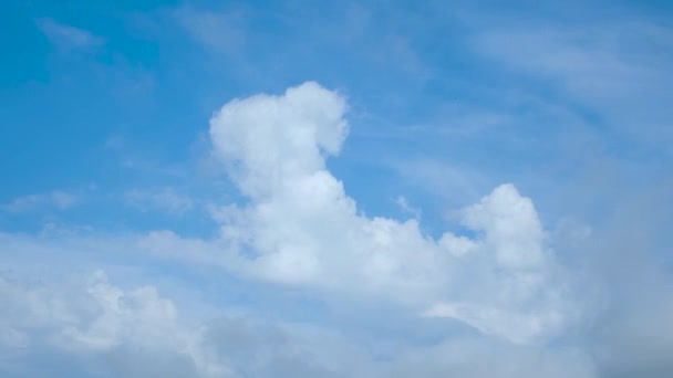Felhők Fehér Felhők Időeltolódás Kék — Stock videók