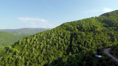 Yeşil orman, hava dağı ve yeşil orman, doğa.