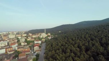 Orman ve şehir manzarası, hava çam ormanı ve şehir manzarası