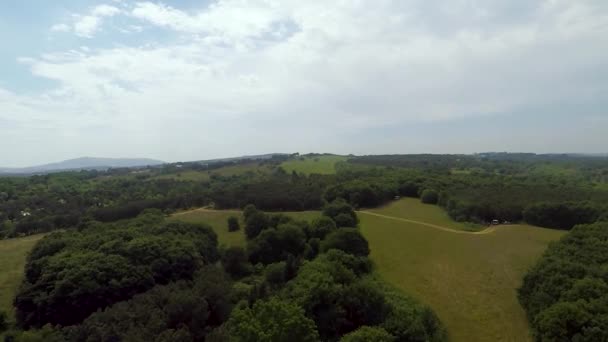 Green Forest Aerial Green Forest Cloudy Sky — Video Stock