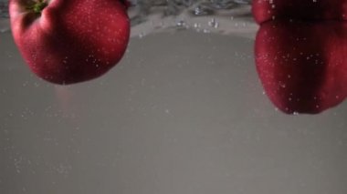 kırmızı elma, suda taze kırmızı elma, meyve