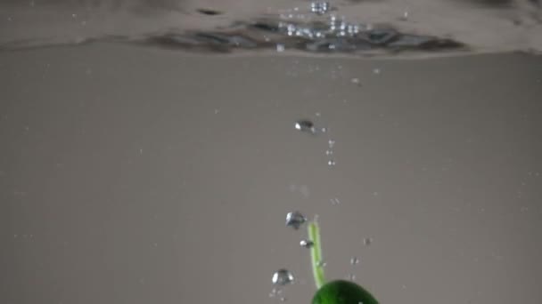 黄瓜蔬菜在水里 — 图库视频影像