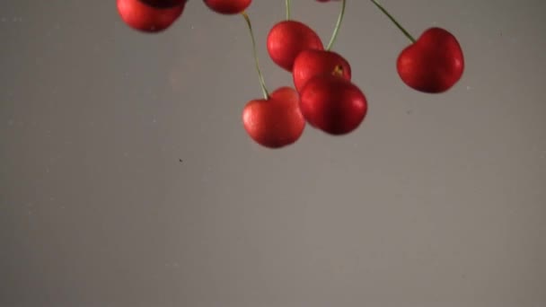 Kirschen Frische Kirschen Wasser Früchte — Stockvideo