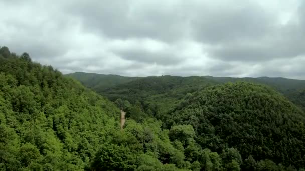 Selva Tropical Bosque Lluvioso Verde Con Tiro Inclinación Aérea Tiempo — Vídeos de Stock