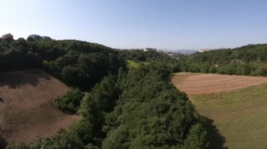 Yeşil alan, yeşil alan ve orman, doğa.