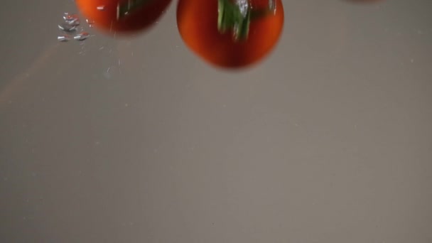 Vegetables Mixed Vegetables Water Cucumber Tomato — Stok video